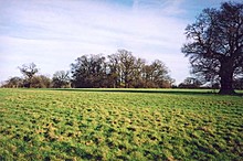 <b>Morden Park Mound</b>Posted by juamei