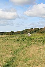 <b>Devil's Quoit (Stackpole)</b>Posted by postman