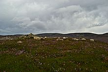 <b>White Cairn</b>Posted by thelonious