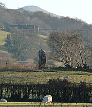 <b>Llangynidr Stone</b>Posted by thesweetcheat