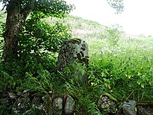 <b>Croft House Stone</b>Posted by drewbhoy