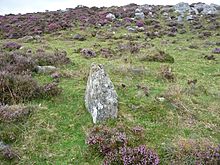 <b>Balnabroich standing stone</b>Posted by drewbhoy