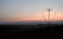 <b>Northumberland</b>Posted by pebblesfromheaven