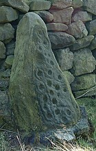 <b>Baildon Stone 1 (Dobrudden)</b>Posted by Chris Collyer