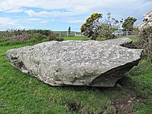 <b>Fallen stones near Milltown Milestone</b>Posted by tjj