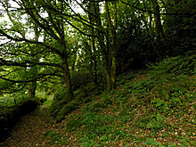 <b>Castell Llwyd</b>Posted by thesweetcheat