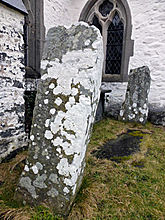 <b>Llangernyw Yew and Standing Stones</b>Posted by thesweetcheat