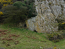 <b>Mewslade Cave</b>Posted by thesweetcheat