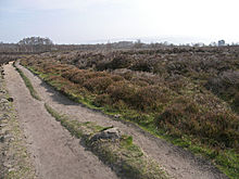 <b>Stanton Moor South</b>Posted by meg-y