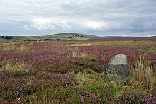 <b>Anglezarke Moor Standing Stone</b>Posted by LivingRocks