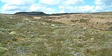 <b>Hathersage Moor Ring Cairn</b>Posted by stubob