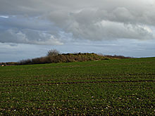 <b>Harestone Down barrow</b>Posted by thesweetcheat