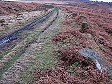 <b>Barbrook Stone Row</b>Posted by wiccaman9