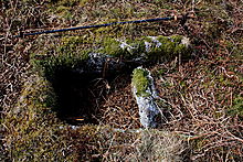 <b>Gutter Tor Cist</b>Posted by GLADMAN