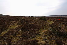 <b>Shapley Common</b>Posted by GLADMAN