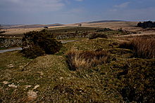 <b>Gutter Tor cairns</b>Posted by GLADMAN