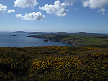 <b>Bardsey Island</b>Posted by thesweetcheat