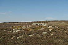 <b>Commondale Moor</b>Posted by thelonious