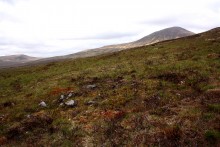 <b>Cnoc Bad A' Ghille Dhuibh</b>Posted by GLADMAN