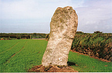 <b>Trelew Menhir</b>Posted by hamish
