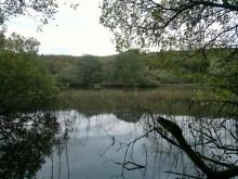 <b>Whitefield Loch</b>Posted by spencer