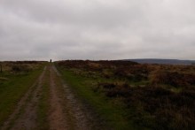 <b>Beeley Moor</b>Posted by thesweetcheat