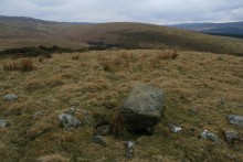 <b>Cefn Penagored Ridge</b>Posted by postman