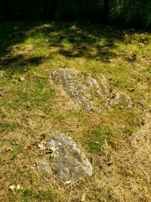<b>Drumtroddan Carved Rocks</b>Posted by spencer