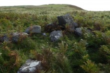 <b>Old Bewick Cairn</b>Posted by thesweetcheat