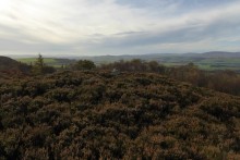 <b>Hepburn Moor</b>Posted by thesweetcheat