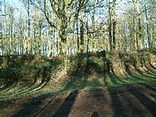 <b>Badbury Hill Camp</b>Posted by madelaine