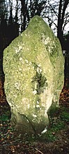 <b>The Nine Stones of Winterbourne Abbas</b>Posted by texlahoma