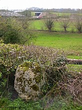 <b>Cleveley Marker Stone</b>Posted by Jane