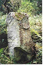 <b>Newhouse Standing Stone</b>Posted by Martin