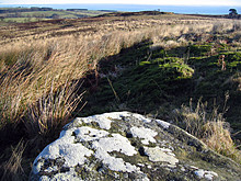 <b>Ringses Camp, Beanley Moor</b>Posted by rockandy