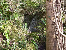 <b>Badger Hole</b>Posted by treehugger-uk