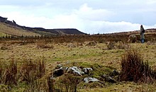 <b>Haughton Common</b>Posted by Hob