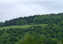 <b>Woodbury Hill (Great Witley)</b>Posted by morfe