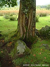 <b>Lochbuie Kerb Cairn</b>Posted by Kammer