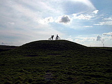 <b>Cubert Common Burrow</b>Posted by phil