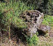 <b>Coity Chambered Tomb</b>Posted by hamish