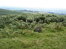<b>Butterdon Hill Chambered Tomb</b>Posted by Lubin