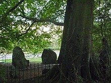 <b>The Nine Stones of Winterbourne Abbas</b>Posted by soulsong