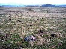 <b>South Middleton Moor</b>Posted by rockandy