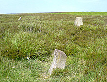 <b>Almsworthy Stone Circle</b>Posted by juamei