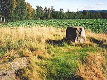 <b>Colen Wood Stone Circle</b>Posted by Martin