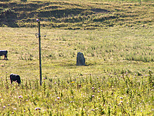 <b>Brighouse Standing Stone</b>Posted by rockartwolf