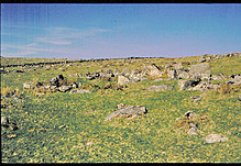 <b>Littaford Tor</b>Posted by Lubin