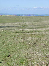 <b>Ringmoor Down Reave</b>Posted by Lubin