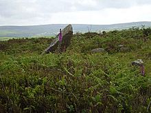 <b>Boskednan Cairn</b>Posted by formicaant